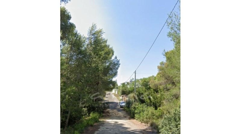 València - Alginet - 1182m2