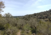 Non-developable land for sale on España, Tortosa, ref: TR405577 photo