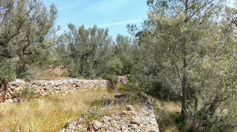 Tarragona - Tortosa - 20845m2