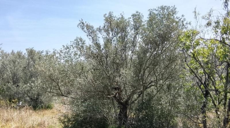 Tarragona - Tortosa - 20845m2