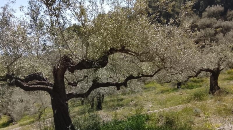 Tarragona - Tortosa - 20845m2