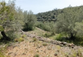 Non-developable land for sale on España, Tortosa, ref: TR405577 photo