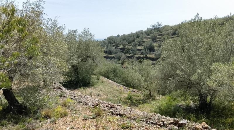 Tarragona - Tortosa - 20845m2