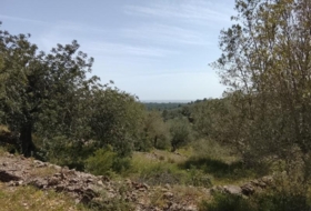 Tortosa 20845&nbsp;м²