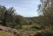 Non-developable land for sale on España, Tortosa, ref: TR405577 photo