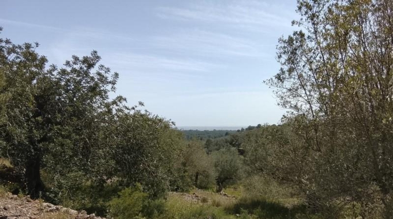 Tarragona - Tortosa - 20845m2