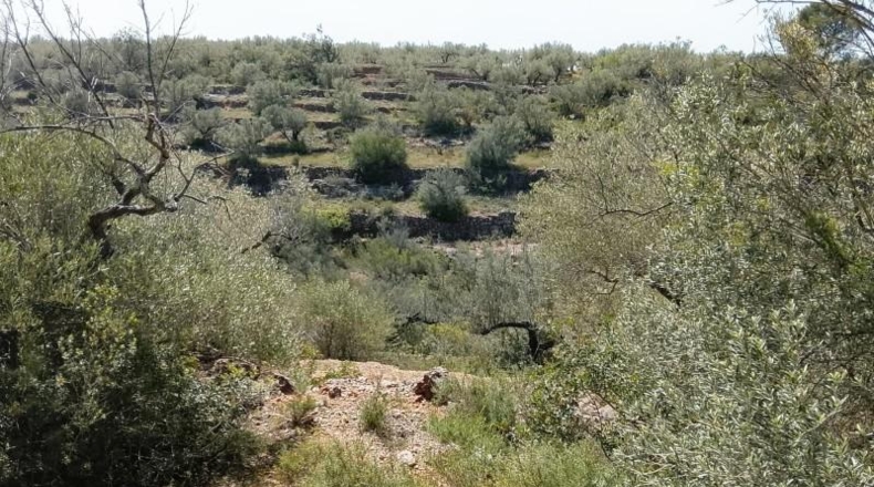 Tarragona - Tortosa - 20845m2