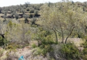 Non-developable land for sale on España, Tortosa, ref: TR405577 photo