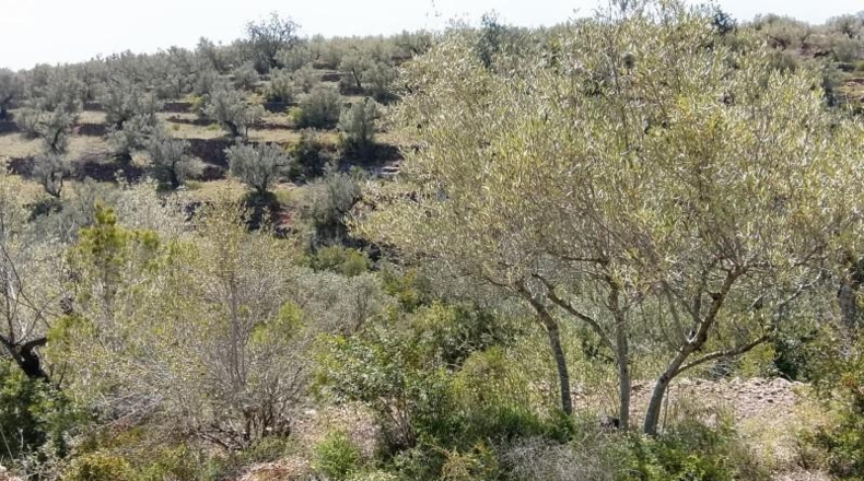 Tarragona - Tortosa - 20845m2