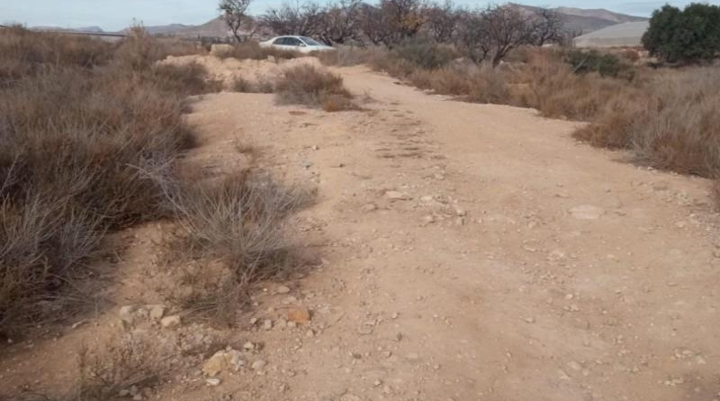 Alicante - Mutxamel - 10080m2
