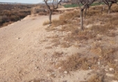 Земля на продажу у города Mutxamel Фото