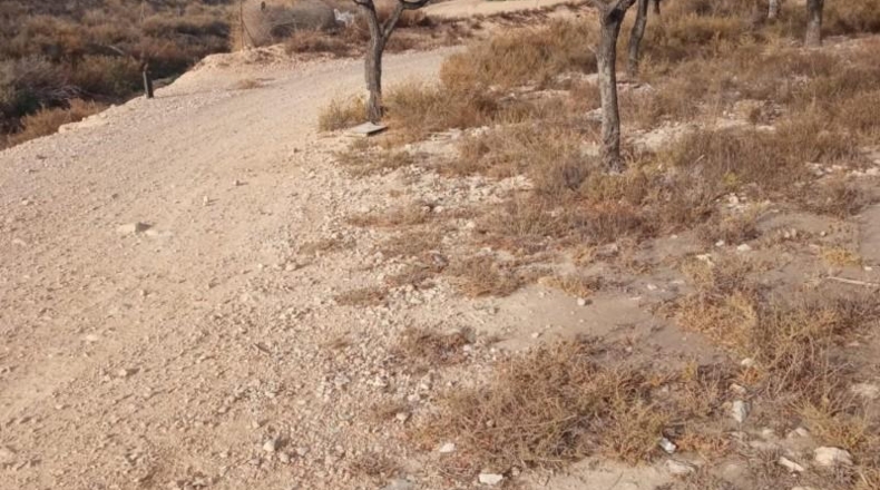 Alicante - Mutxamel - 10080m2