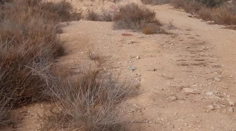Alicante - Mutxamel - 10080m2