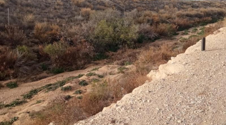 Alicante - Mutxamel - 10080m2