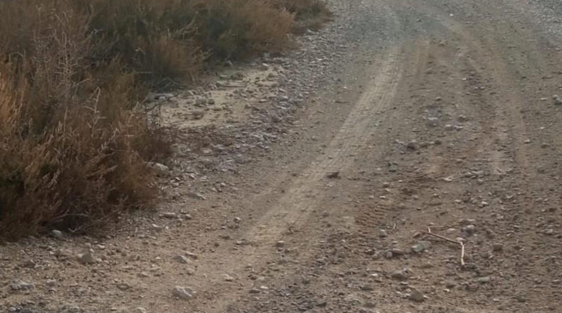 Alicante - Mutxamel - 10080m2