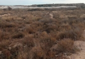 Земля на продажу у города Mutxamel Фото