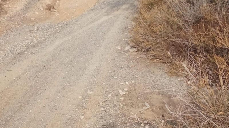Alicante - Mutxamel - 10080m2