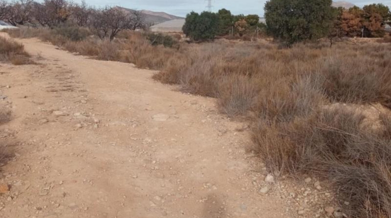 Alicante - Mutxamel - 10080m2