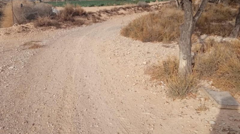Alicante - Mutxamel - 10080m2