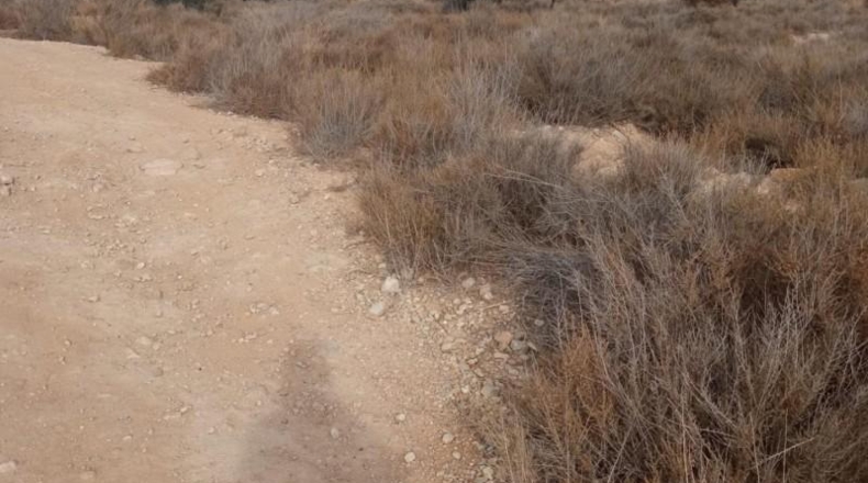 Alicante - Mutxamel - 10080m2