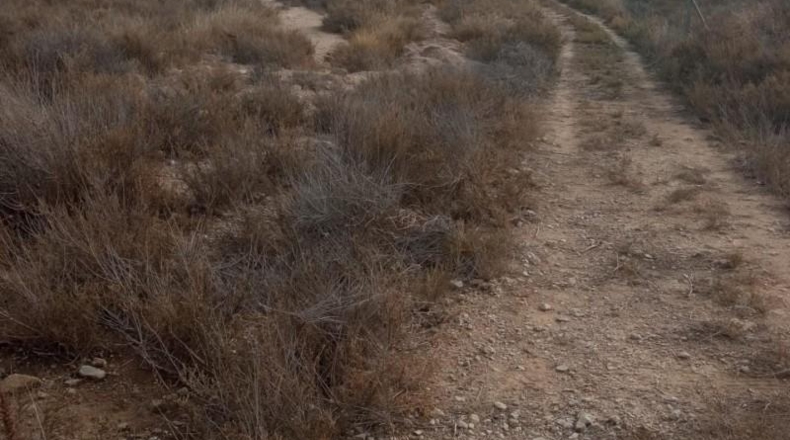 Alicante - Mutxamel - 10080m2