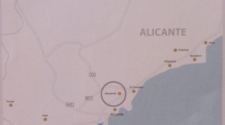 Alicante - Mutxamel - 10080m2