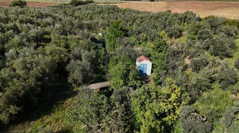 Seville - Las Cabezas de San Juan - 5280m2