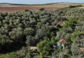 Terreny no urbanitzable en venda a la España, Las Cabezas de San Juan, ref.: TR405579 foto