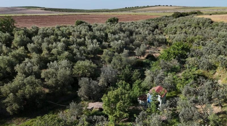Seville - Las Cabezas de San Juan - 5280m2