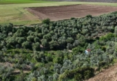 Terreny no urbanitzable en venda a la España, Las Cabezas de San Juan, ref.: TR405579 foto