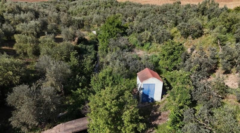 Seville - Las Cabezas de San Juan - 5280m2
