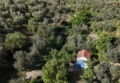 Terreny no urbanitzable en venda a la España, Las Cabezas de San Juan, ref.: TR405579 foto