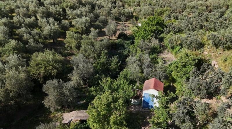 Seville - Las Cabezas de San Juan - 5280m2