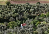 Terreny no urbanitzable en venda a la España, Las Cabezas de San Juan, ref.: TR405579 foto