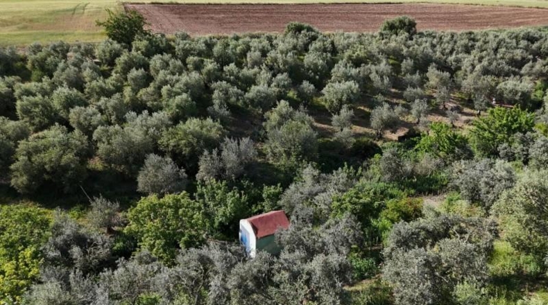Seville - Las Cabezas de San Juan - 5280m2