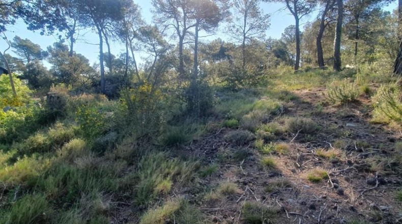 Barcelona - Sant Quintí de Mediona - 1010m2