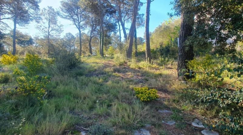 Barcelona - Sant Quintí de Mediona - 1010m2