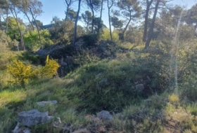 Foto 6