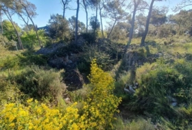 Foto 11