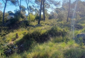 Foto 9