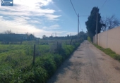 Городская земля под застройку на продажу у города Херес-де-ла-Фронтера Фото