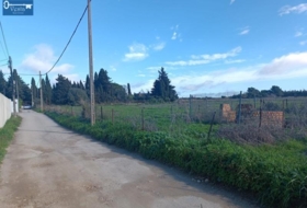 Jerez de la Frontera 800&nbsp;m² 