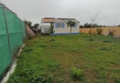 Terreny no urbanitzable en venda a la España, Los Palacios y Villafranca, ref.: TR405615 foto