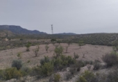 Land suitable for development for sale on España, Lorca, ref: TR311742 photo