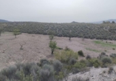Land suitable for development for sale on España, Lorca, ref: TR311742 photo