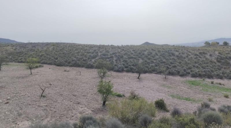 Мурсия - Lorca - 34600m2