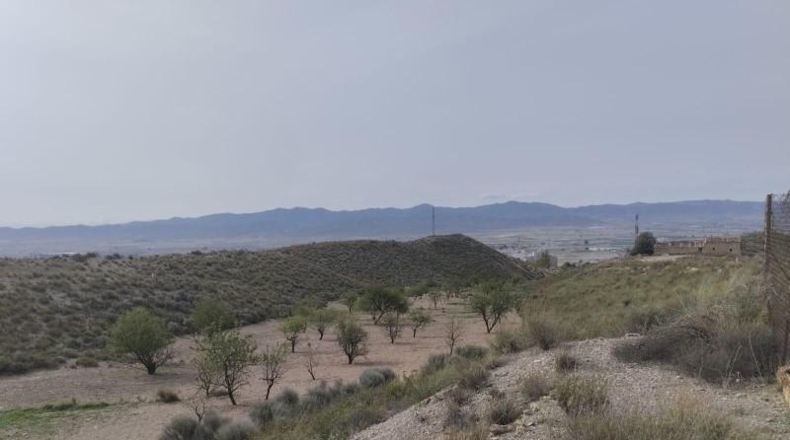Мурсия - Lorca - 34600m2