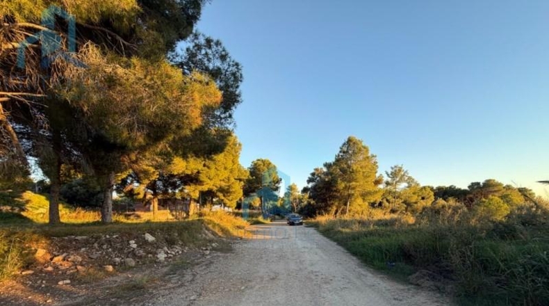 Tarragona - el Vendrell - 835m2