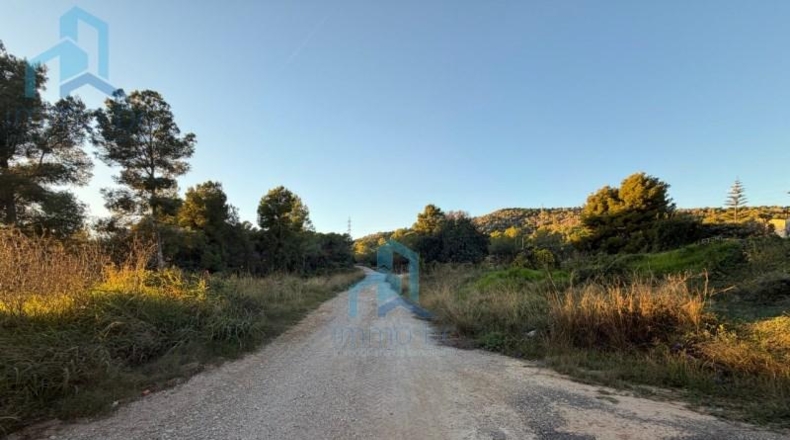 Tarragona - el Vendrell - 835m2