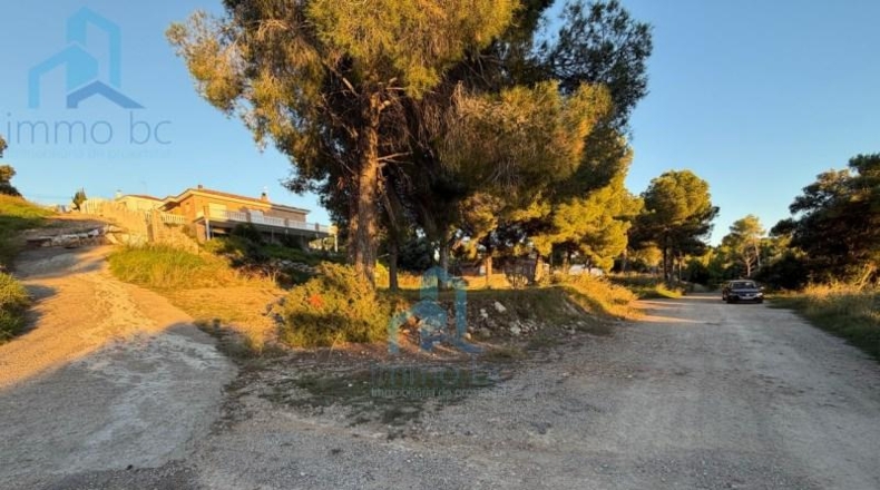 Tarragona - el Vendrell - 835m2